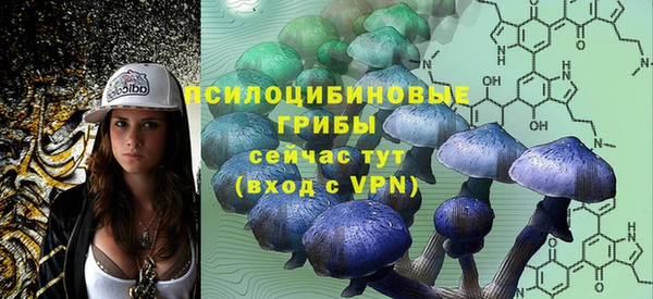 хмурый Няндома