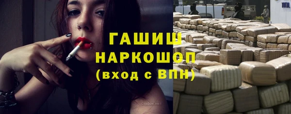 хмурый Няндома