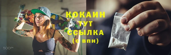 хмурый Няндома