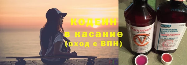 хмурый Няндома