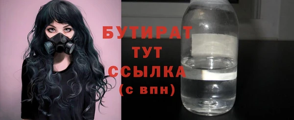 хмурый Няндома