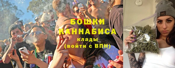 хмурый Няндома