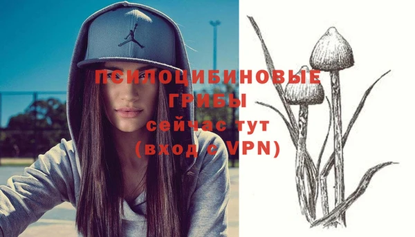 соль ск Гусиноозёрск