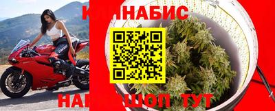 spice Балахна