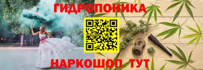 гидра Заволжье