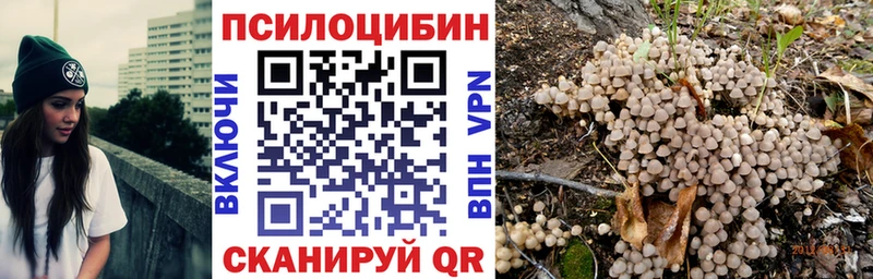 мега   Черногорск  Галлюциногенные грибы MAGIC MUSHROOMS  что такое  